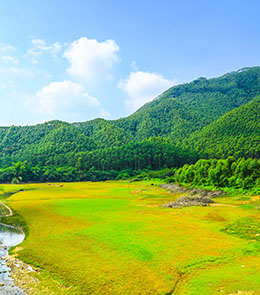 大鹏湾